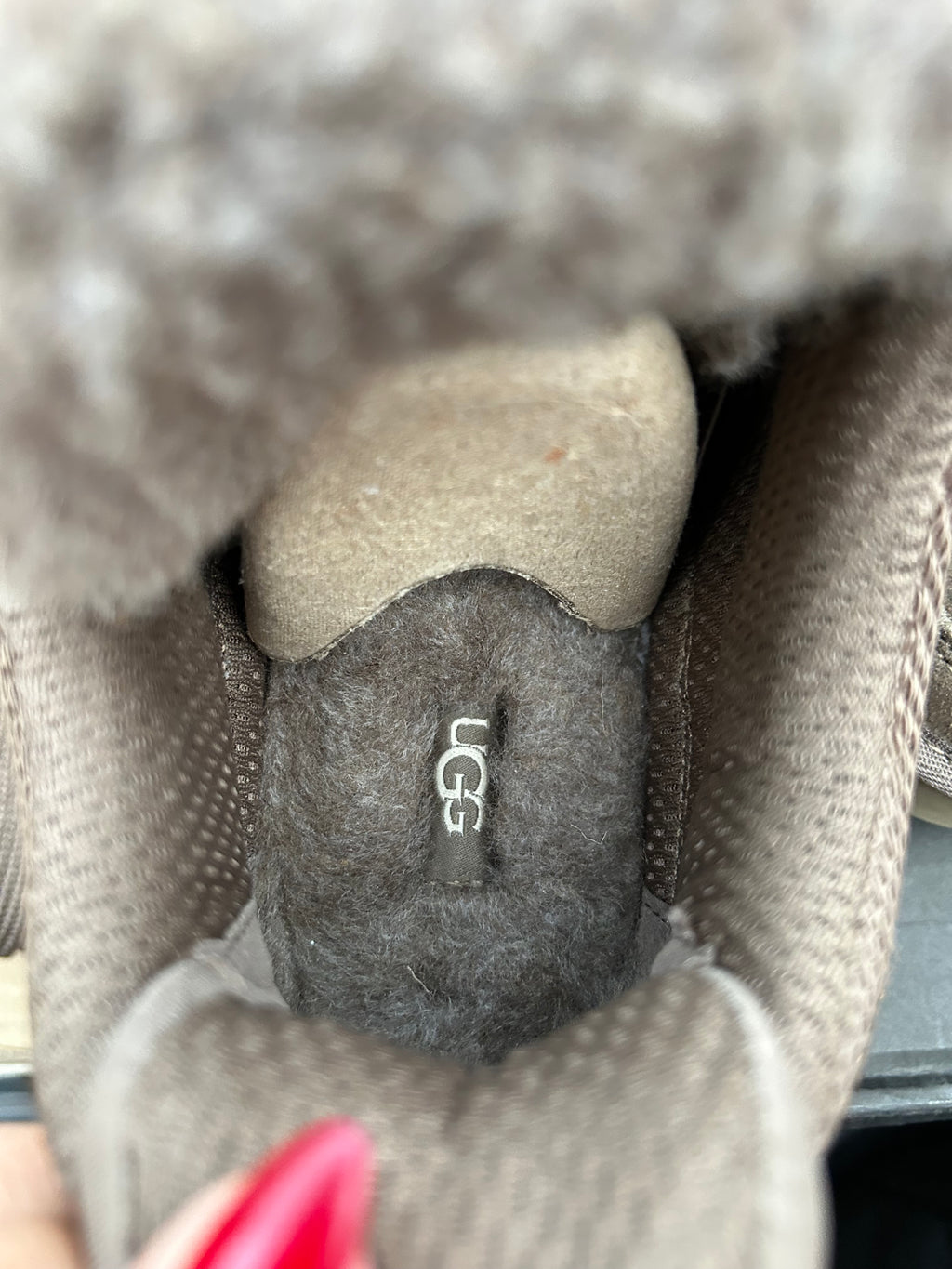 Ugg lowmel hickory trainers - New